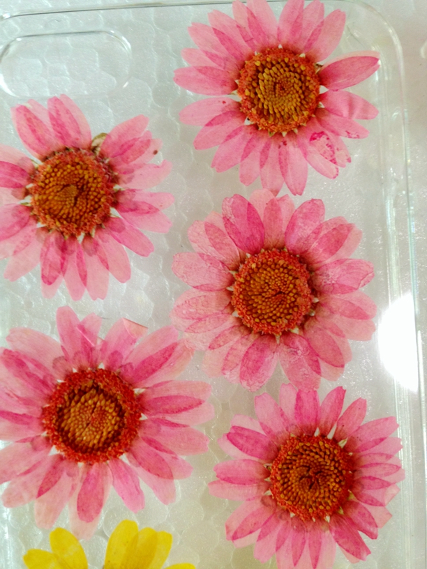 Dried Real Flower Iphone 5 5s Case on Luulla